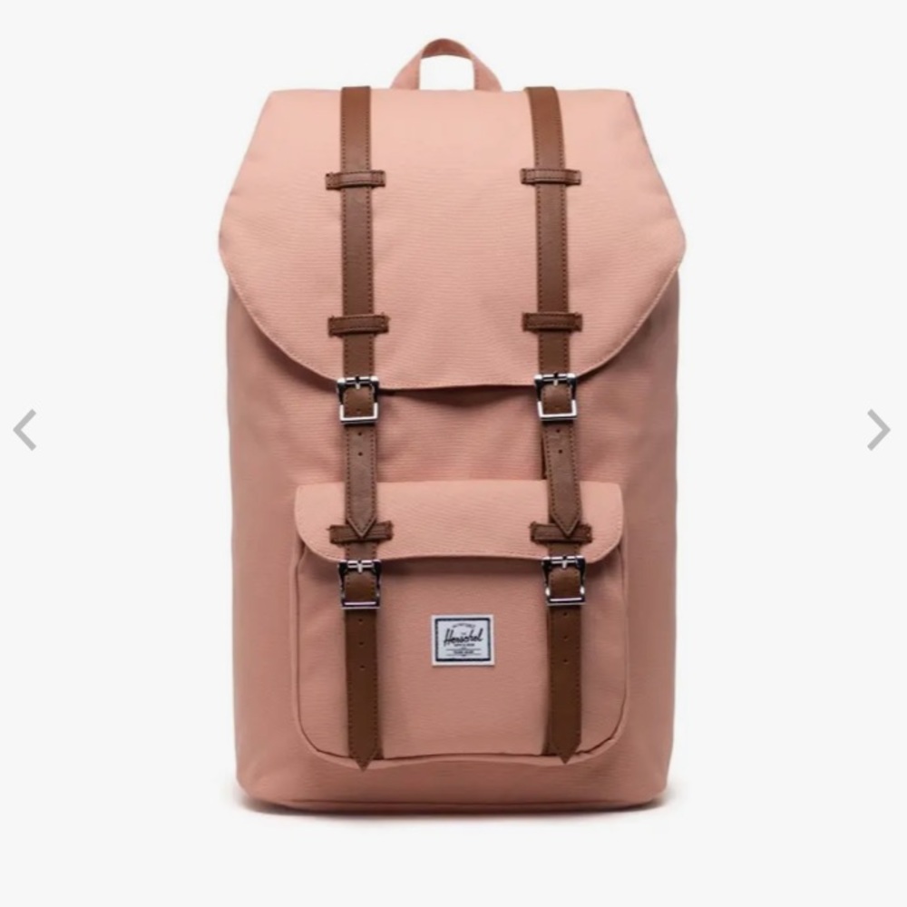 Herschel Supply Company Blush and Brown Backpack